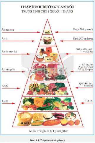 Cách Vẽ Thực Đơn Lớp 6