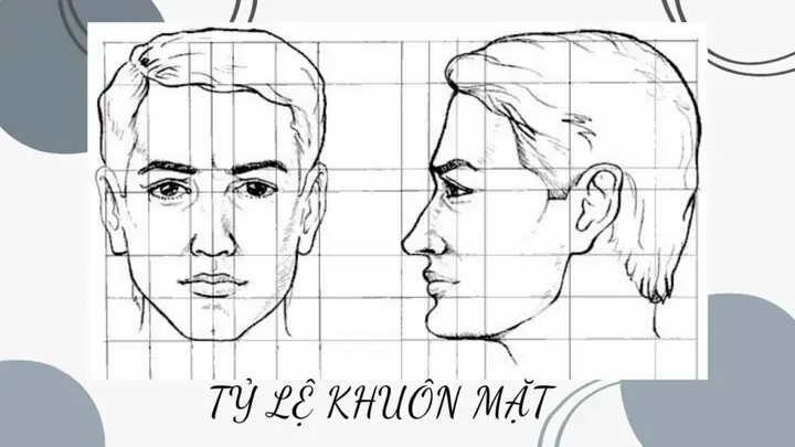 Cách Vẽ Tỉ Lệ Khuôn Mặt