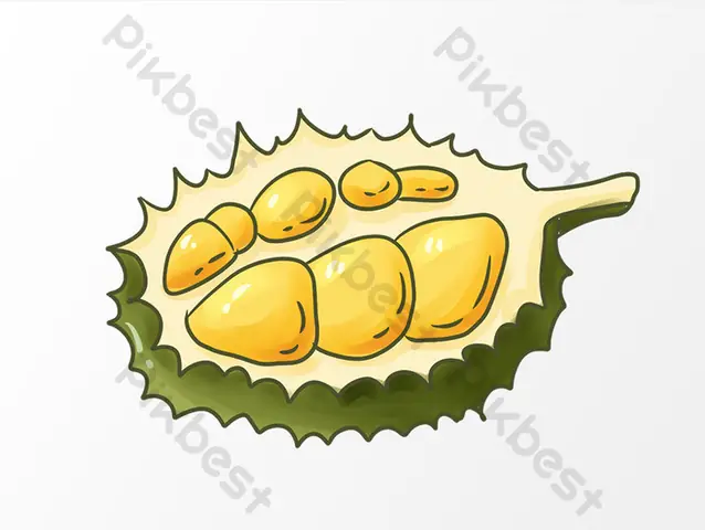 Cách Vẽ Trái Sau Rieng Cách Vẽ Trái Sau Rieng
