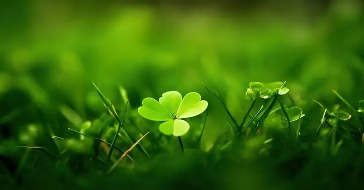 Cách Vẽ Trái Tim Cân Đối Cách Vẽ Trái Tim Cân Đối