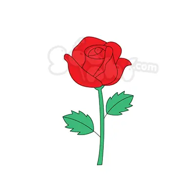 Cách Vẽ Tranh Hoa Hồng Cách Vẽ Tranh Hoa Hồng