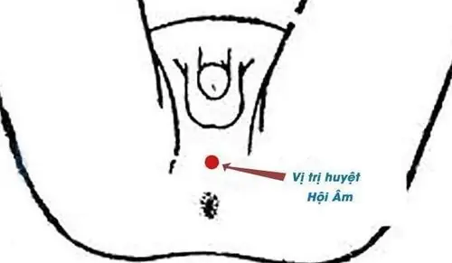 Cách Vẽ Vùng Hội Âm Cách Vẽ Vùng Hội Âm