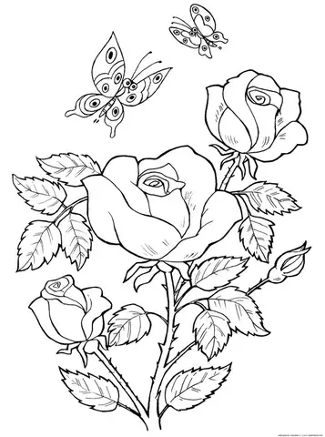 Cách Vẽ Vườn Hoa Hồng