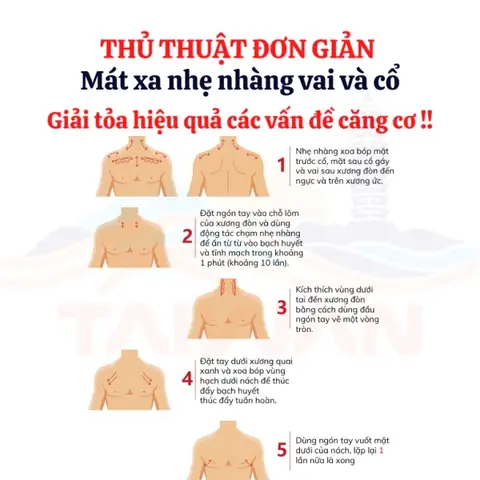 Cách Vẽ Xương Thân Mình Cách Vẽ Xương Thân Mình