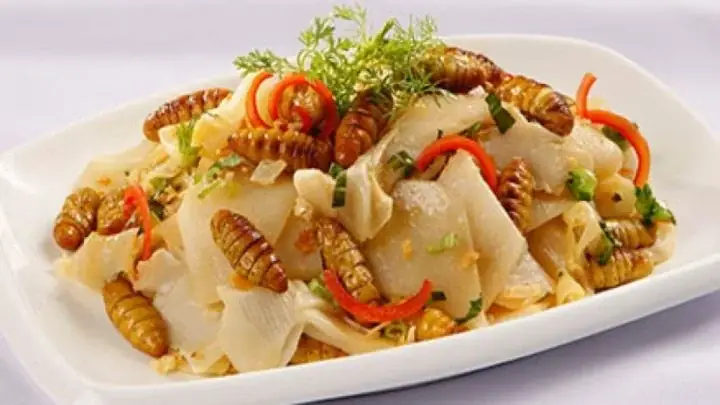 Cách Xào Ong Vò Vẽ Cách Xào Ong Vò Vẽ