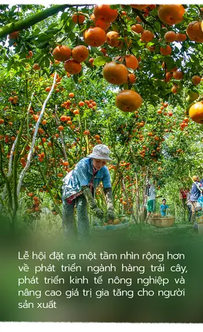 Chỉ Cách Vẽ Cây Hành Chỉ Cách Vẽ Cây Hành