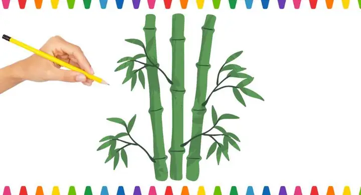 Chỉ Cách Vẽ Cây Tre Chỉ Cách Vẽ Cây Tre