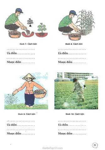 Hình Vẽ Cách Bón Phân