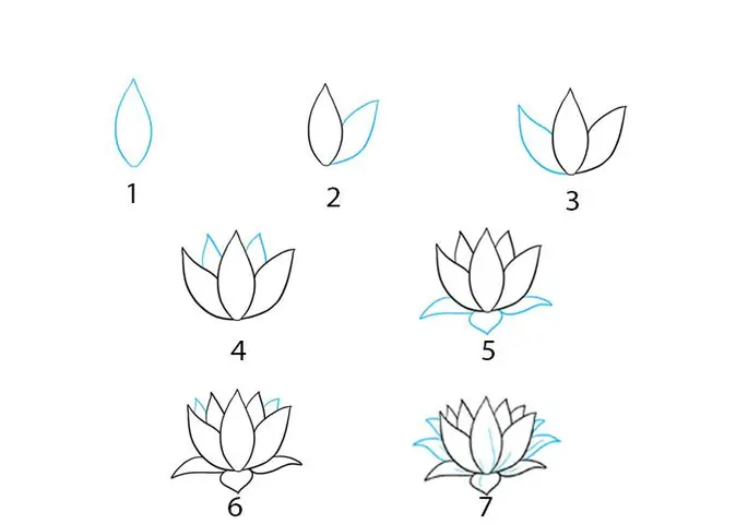 Hướng Dẫn Cách Vẽ Hoa Sen