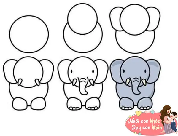 Những Cách Vẽ Cơ Bản