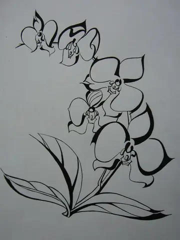 Vẽ Cách Điệu Bông Hoa