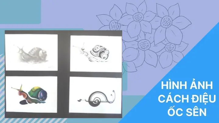 Vẽ Cách Điệu Ốc Sên