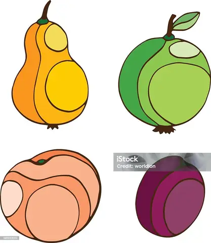 Vẽ Cách Điệu Quả Táo Vẽ Cách Điệu Quả Táo