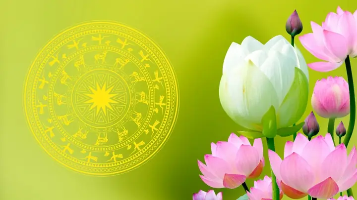 Vẽ Cách Đồng Hoa Sen